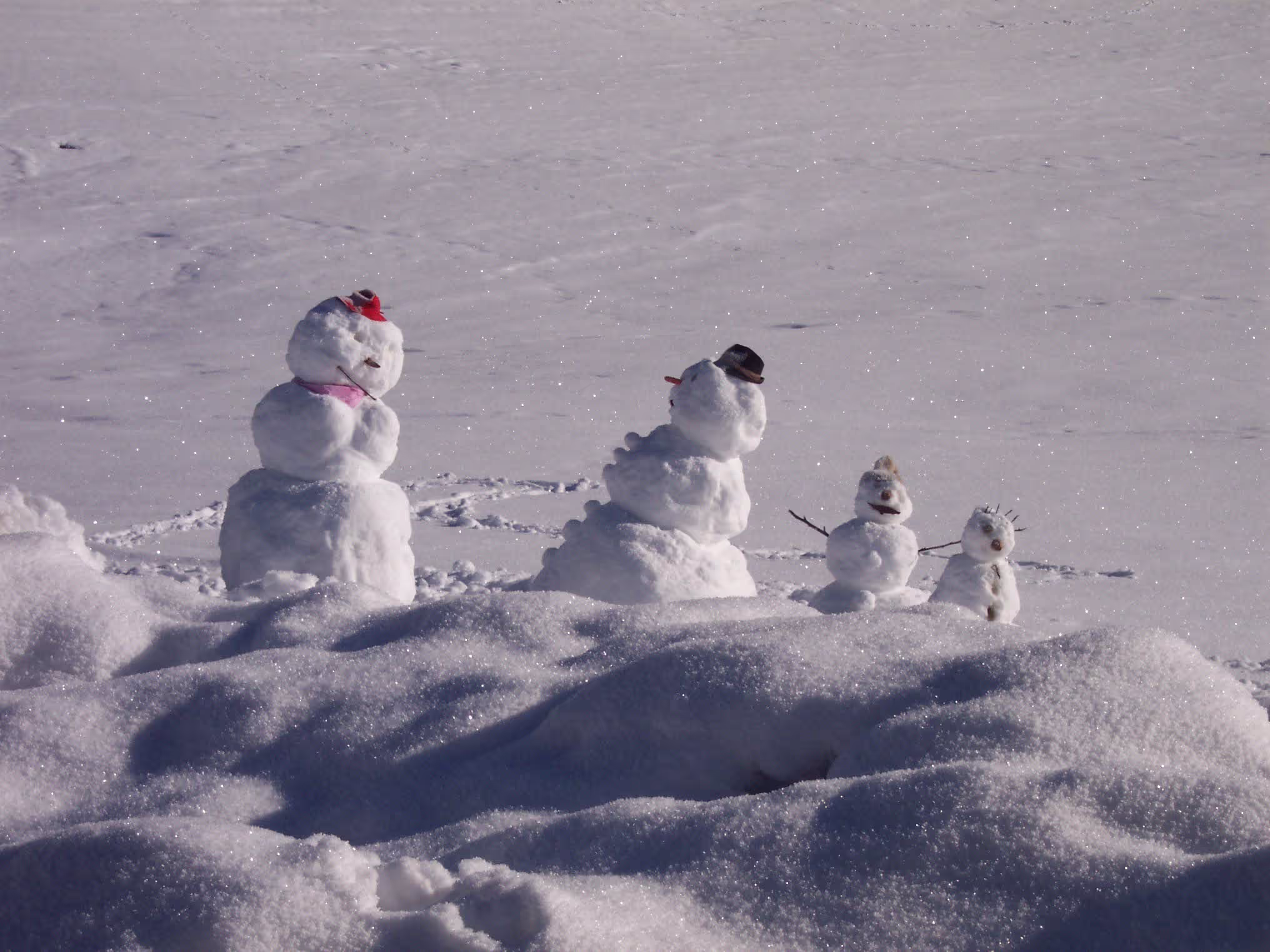 4 kreative Schneemaenner, mit verschiedenen Hueten